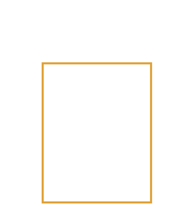 Layer